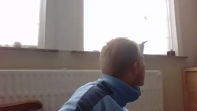 bertolini online show from 10-12-25, 01:32