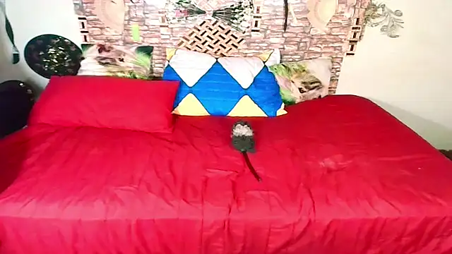 Snapshot of Indian_Blaze00 chatting on 10-17-25, 11:35 Indian Blaze00 online show from 10-17-25, 11:35