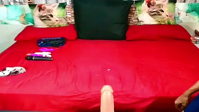 Indian Blaze00 online show from 01-31-26, 07:11