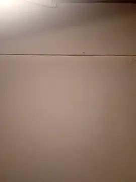 AmazonianMistress online show from 09-21-25, 01:57