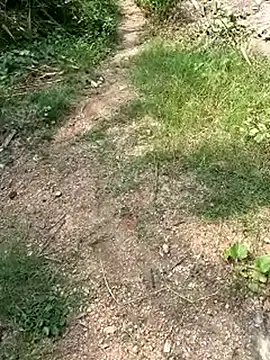 TamizhanKishwin7 online show from 11-09-25, 08:01