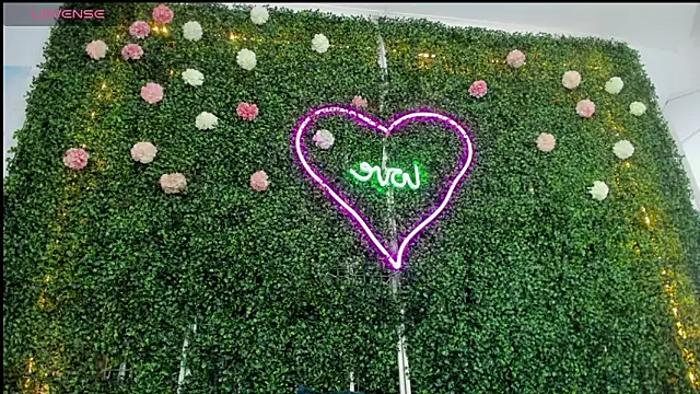 emy 0 online show from 01-04-25, 06:09