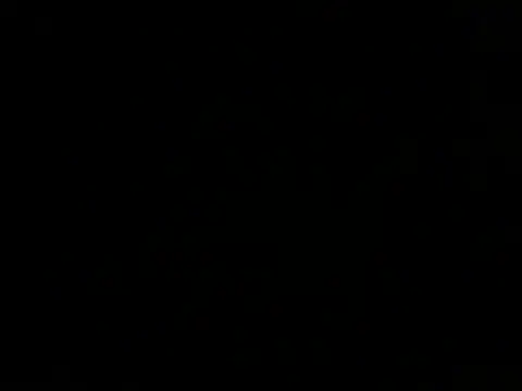 Snapshot of ArtemMR chatting on 12-13-24, 10:34 ArtemMR online show from 12-13-24, 10:34