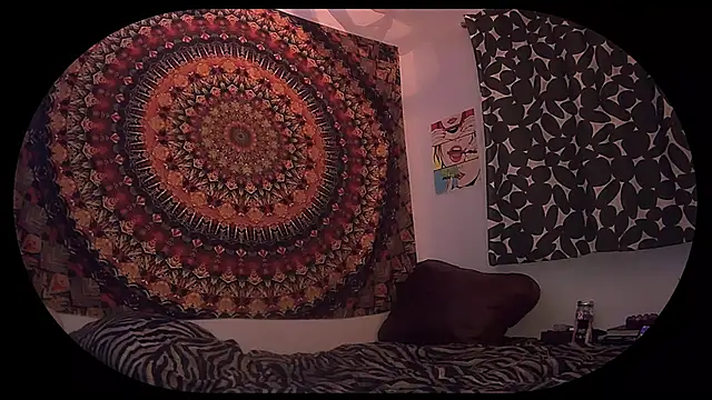 HeyyImHarlowe online show from 03-02-26, 07:09