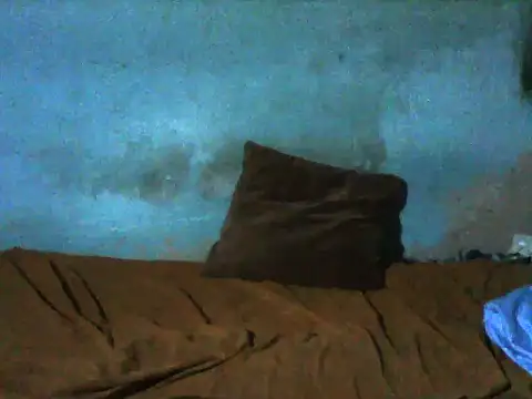 little  joy online show from 12-16-25, 11:32