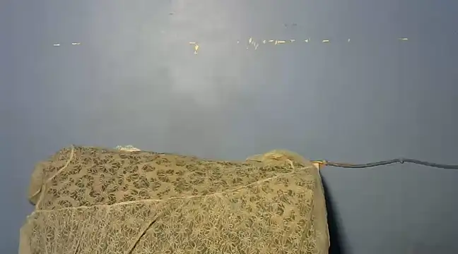 Snapshot of shishbabe chatting on 03-04-25, 04:49 shishbabe online show from 03-04-25, 04:49