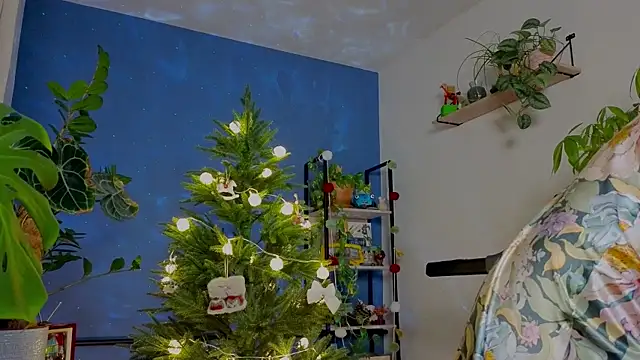  lightmyfire online show from 12-05-25, 04:36