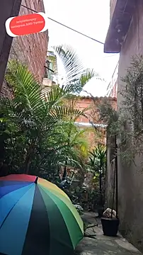 sexyboycolombi4 online show from 02-15-25, 01:38