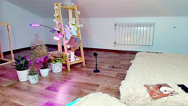 Meowroslava online show from 11-07-25, 09:31