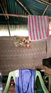 Snapshot of Brian_johns chatting on 12-31-24, 12:04 Brian johns online show from 12-31-24, 12:04