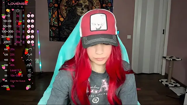 Project hisoka online show from 01-01-25, 03:13