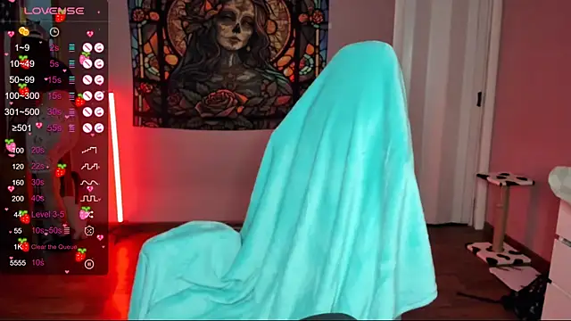 Project hisoka online show from 01-05-25, 08:43