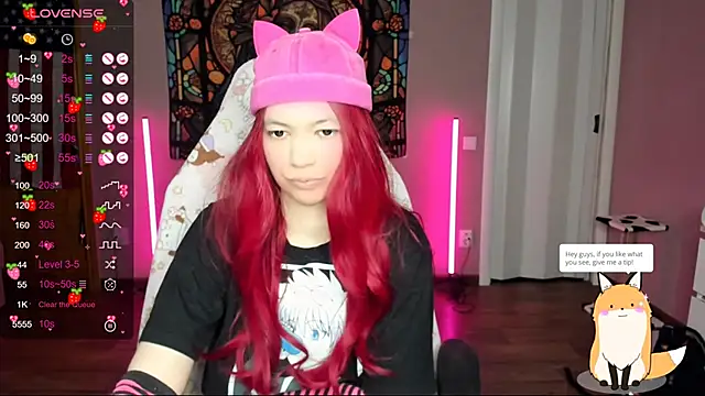 Project hisoka online show from 01-10-25, 09:34