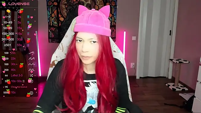 Project hisoka online show from 01-12-25, 10:02