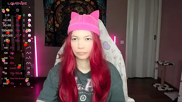 Project hisoka online show from 01-17-25, 02:29