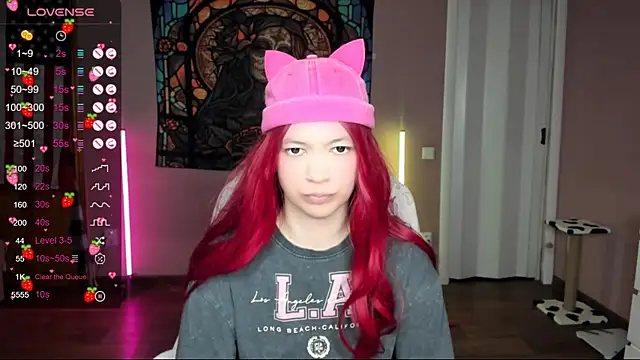 Project hisoka online show from 01-19-25, 03:39