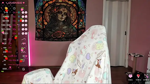 Project hisoka online show from 01-24-25, 02:18