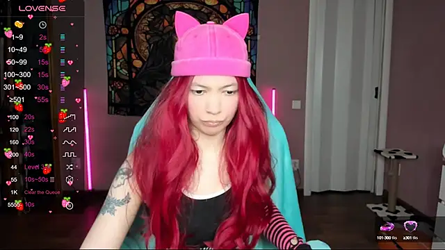 Project hisoka online show from 02-01-25, 12:47