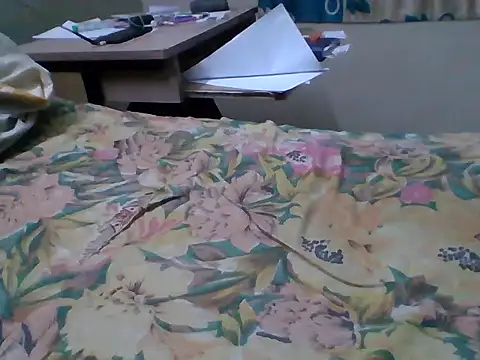 Snapshot of bas1cooks chatting on 09-27-25, 05:07 bas1cooks online show from 09-27-25, 05:07