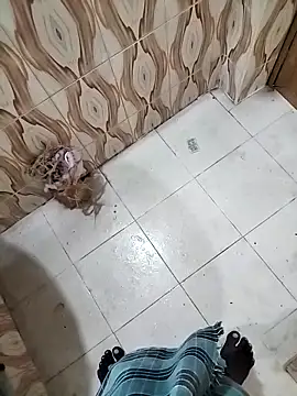 Snapshot of bas1cooks chatting on 09-30-25, 03:22 bas1cooks online show from 09-30-25, 03:22