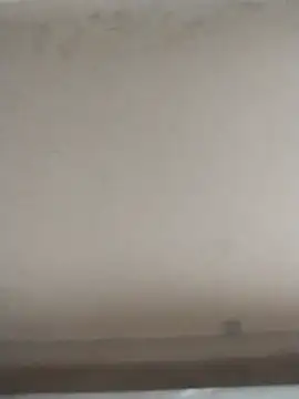 Snapshot of tatoocba88 chatting on 11-28-25, 06:43 tatoocba88 online show from 11-28-25, 06:43