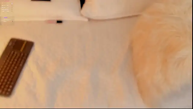 FabianPriince online show from 01-14-25, 06:28