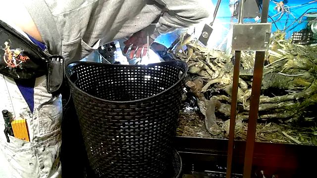 0815lukas2024 online show from 10-07-25, 09:23