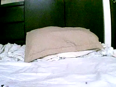 pollarikaaa online show from 12-18-24, 09:51