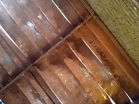 Snapshot of Pablunt-rap chatting on 11-14-25, 02:16 Pablunt-rap online show from 11-14-25, 02:16