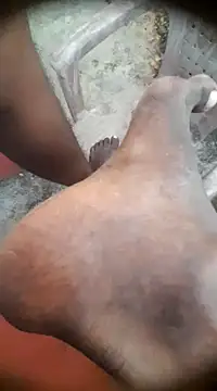 Snapshot of Tamil_boy_age28 chatting on 01-14-25, 12:24 Tamil boy age28 online show from 01-14-25, 12:24