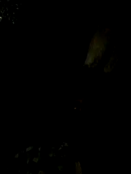 Snapshot of Tamil_boy_age28 chatting on 02-15-25, 05:17 Tamil boy age28 online show from 02-15-25, 05:17