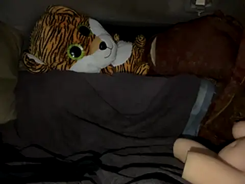 Snapshot of SlimeCrownzOut5 chatting on 11-17-25, 04:18 SlimeCrownzOut5 online show from 11-17-25, 04:18