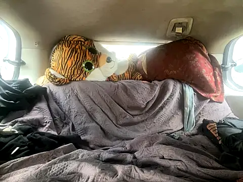 Snapshot of SlimeCrownzOut5 chatting on 11-18-25, 06:01 SlimeCrownzOut5 online show from 11-18-25, 06:01