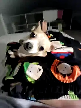 litleboy92 online show from 11-15-25, 01:25