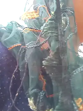 Simaran bhabhi online show from 03-16-25, 04:09