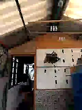 Snapshot of rebekka_simpson chatting on 03-09-25, 08:10 rebekka simpson online show from 03-09-25, 08:10