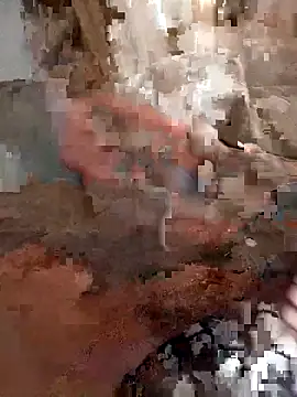 Snapshot of Din0071 chatting on 12-22-25, 03:31 Din0071 online show from 12-22-25, 03:31