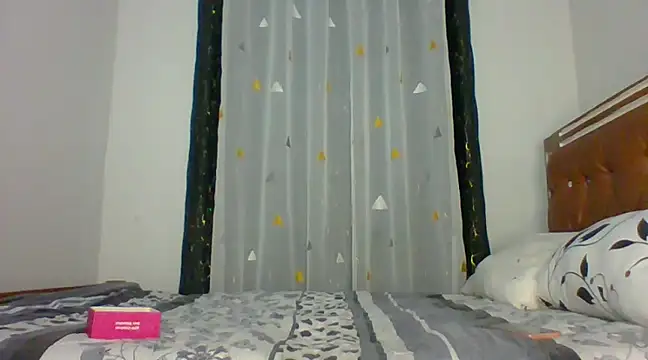 Snapshot of Toxique_ chatting on 12-27-24, 02:54 Toxique online show from 12-27-24, 02:54