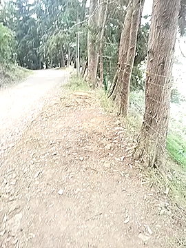 Demiansteven2 online show from 03-13-26, 04:24