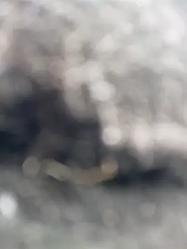  andrea30 online show from 10-30-25, 12:06