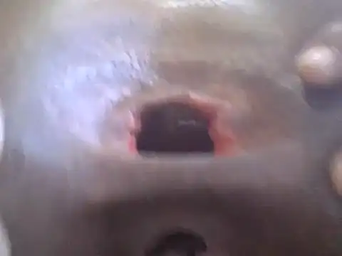 petitev online show from 01-02-25, 04:41