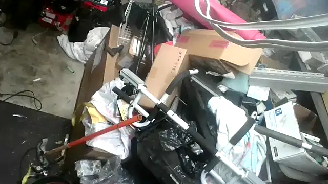 tongueispowerr6d9 online show from 01-16-25, 05:42