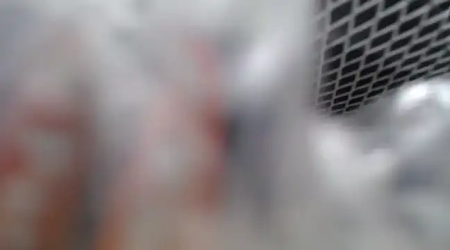 Lovensetest online show from 02-26-25, 07:09