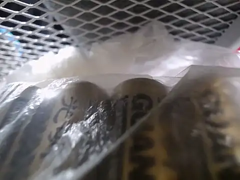 Lovensetest online show from 09-30-25, 07:35