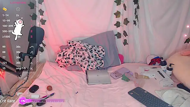 sophie north online show from 01-29-25, 01:28