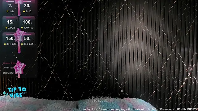 Snapshot of _noahjones chatting on 01-24-25, 04:06 noahjones online show from 01-24-25, 04:06