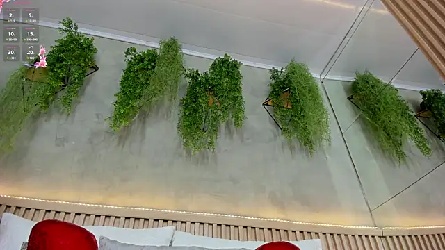 Lana Lann online show from 02-28-25, 11:58