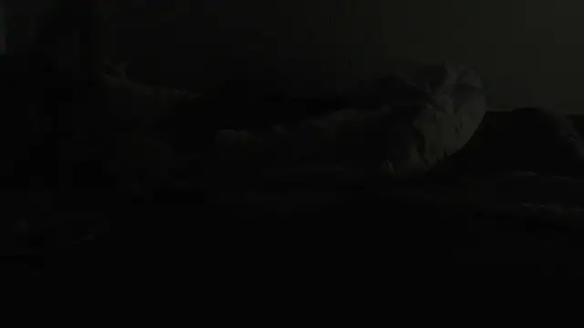 flexingplexico online show from 01-06-25, 07:13