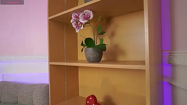 Anybuny online show from 11-07-25, 11:54