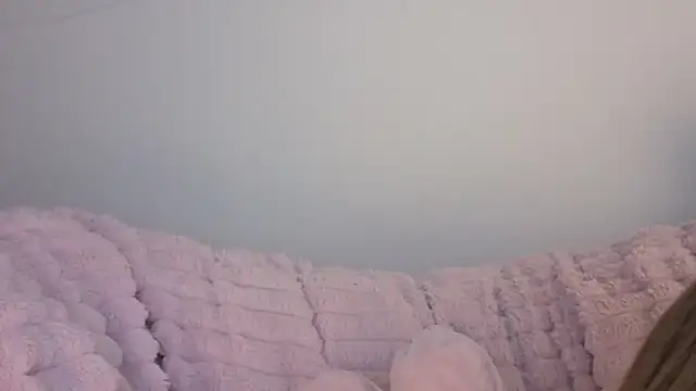 Snapshot of SofiaGc chatting on 01-09-26, 03:42 SofiaGc online show from 01-09-26, 03:42